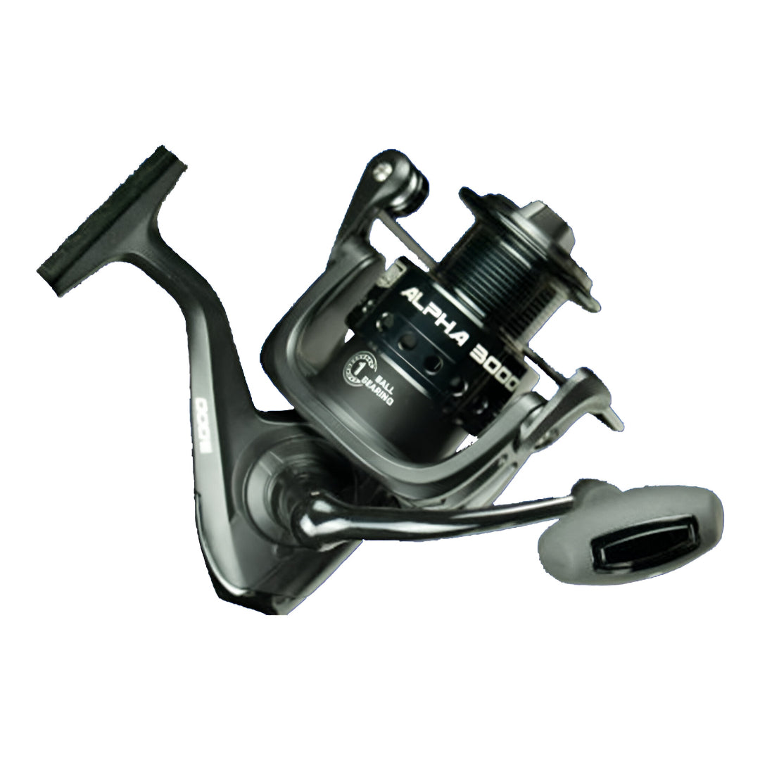 LOOMIS AND FRANKLIN ALPHA