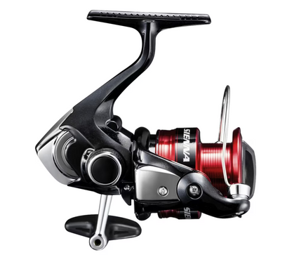 Shimano Sienna