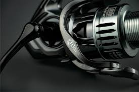 LOOMIS AND FRANKLIN DELTA